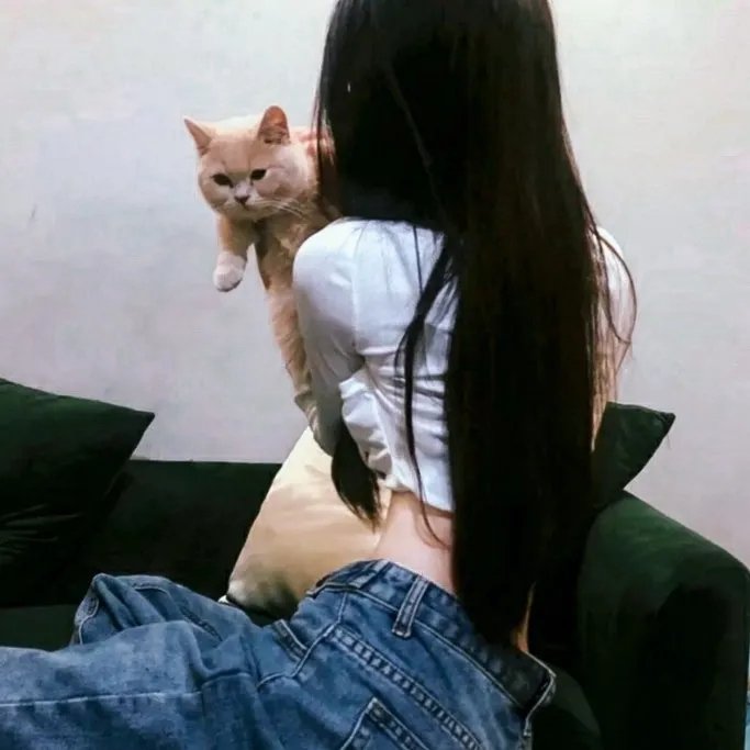 空中监狱